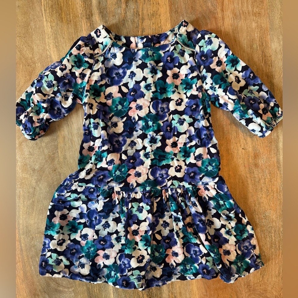 Gymboree corduroy Floral Kids Dress - Blue and Pink